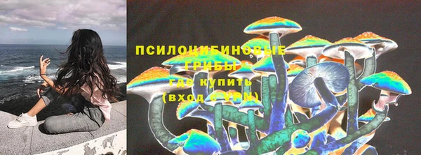спайс Богородск