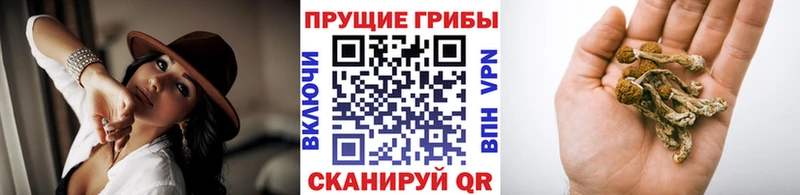Галлюциногенные грибы мухоморы  нарко площадка Telegram  Оха 